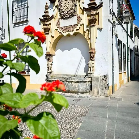 En Centro De By Bebalmy Cordoba